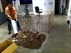 Vaisbord installs "Sim's Garden" in InterUrban Gallery, Vancouver Canada May 2015